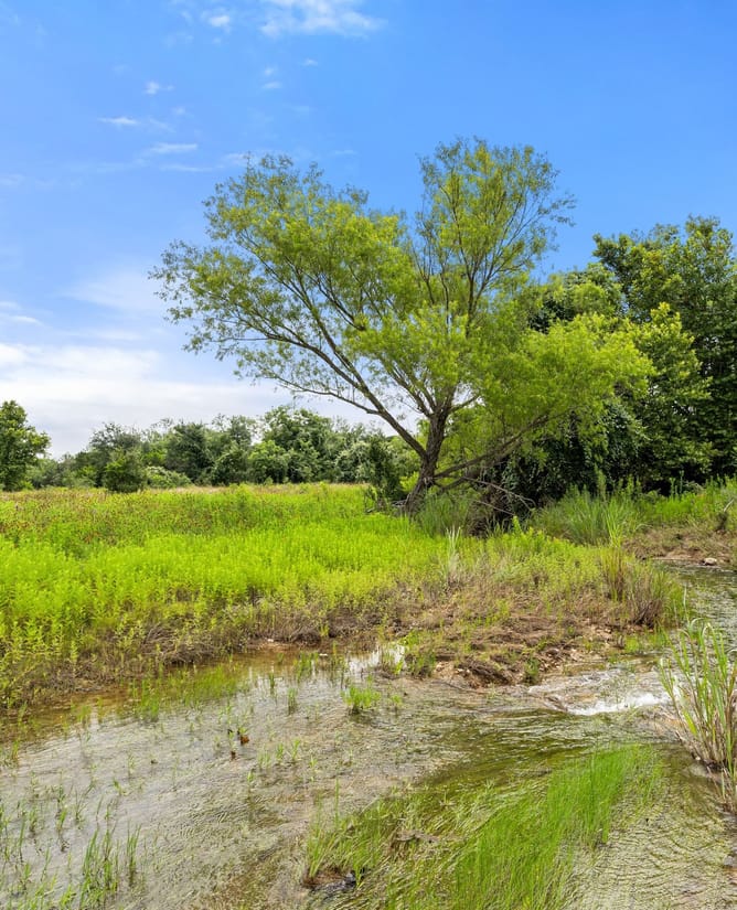 Sycamore Creek Hills Ranch - TBD CR 341, Marble Falls, TX 78654