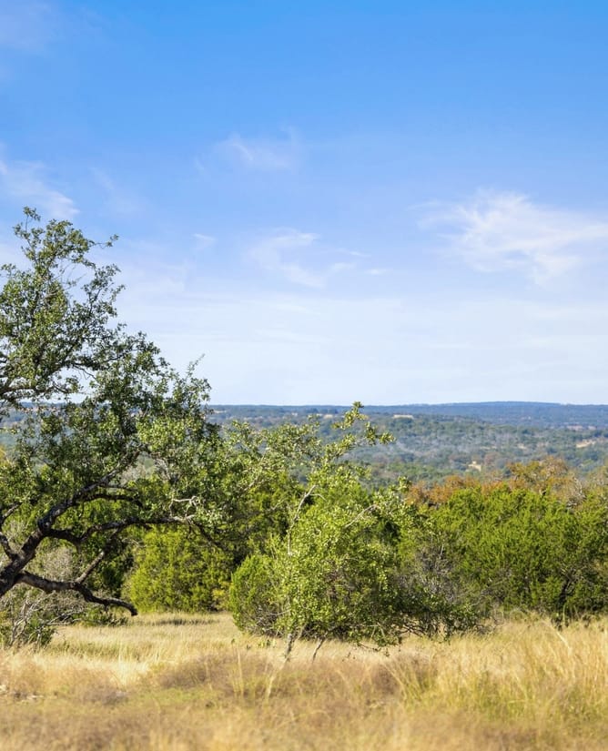 TBD Gipson Rd | 400+/- Acres in Johnson City