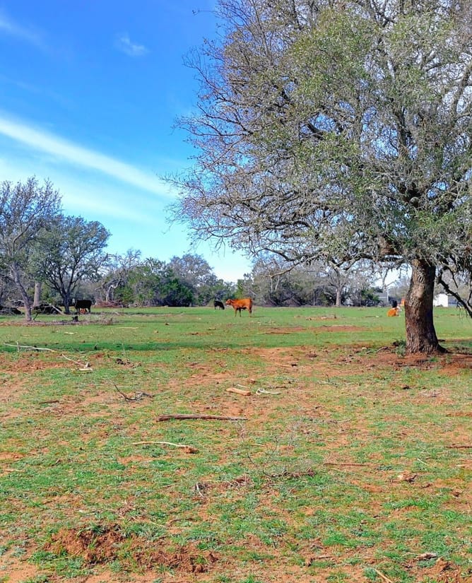 1399 Klett Ranch Rd
