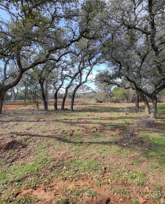 1399 Klett Ranch Rd