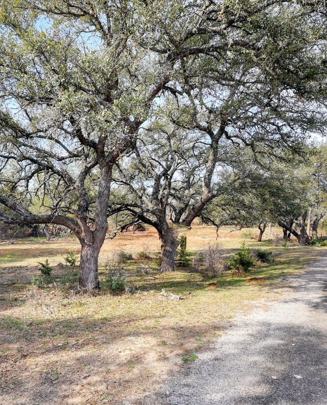1399 Klett Ranch Rd