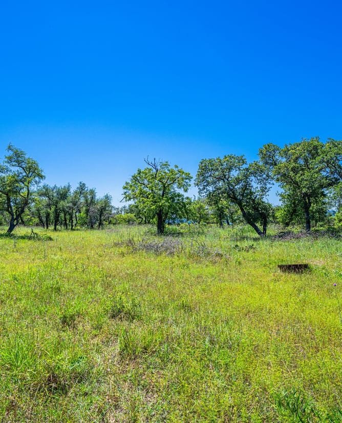 518 W Sunset - Preserve at Walnut Springs | LOT #32