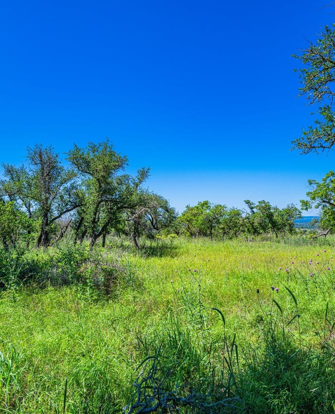 518 W Sunset - Preserve at Walnut Springs | LOT #32