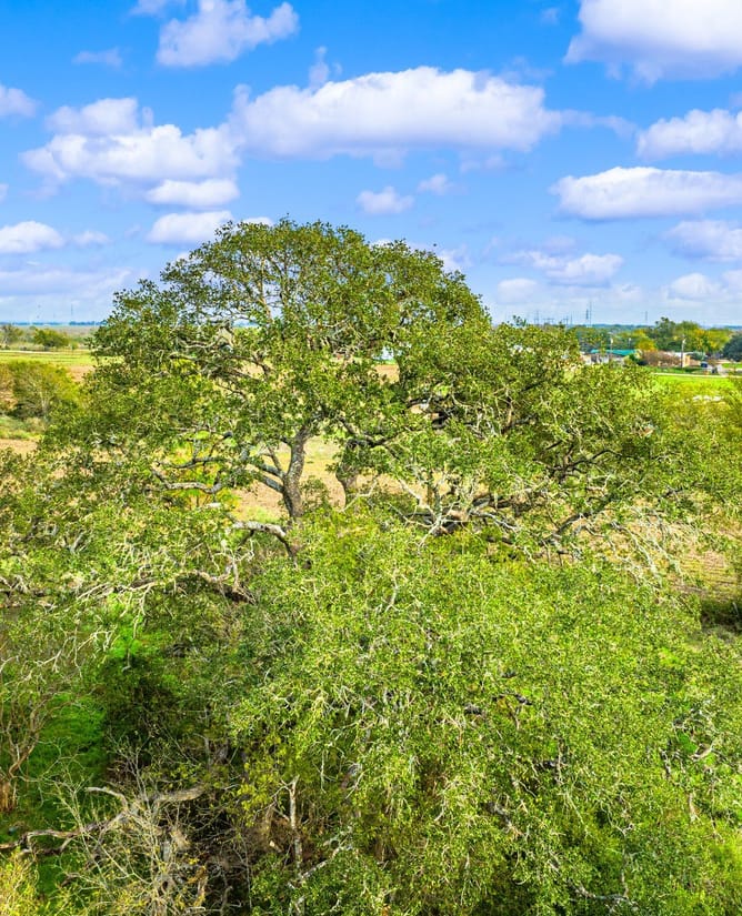 TBD Krause Ln | New Braunfels, TX | 68.83 Acres