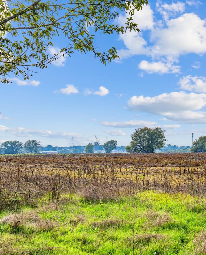 TBD Krause Ln | New Braunfels, TX | 68.83 Acres