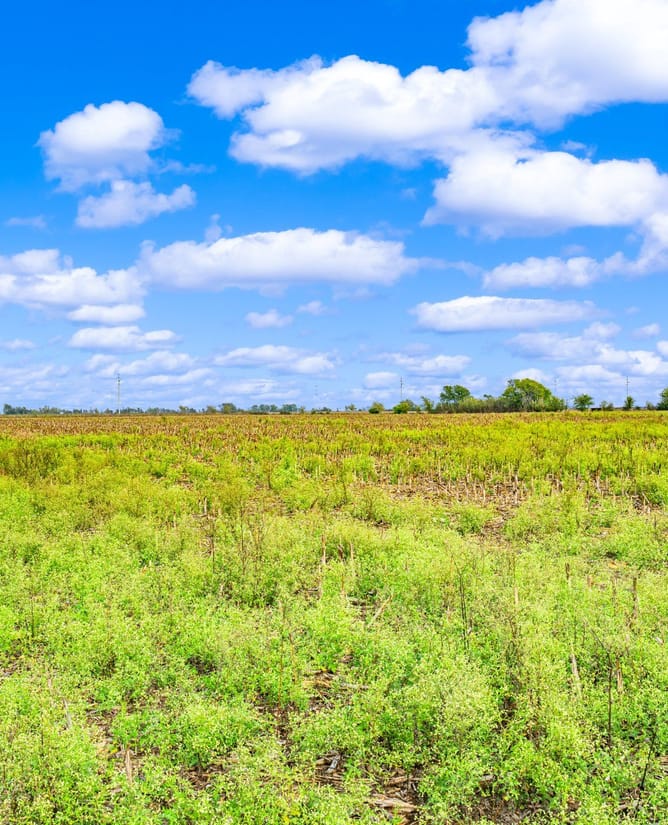 TBD Krause Ln | New Braunfels, TX | 68.83 Acres