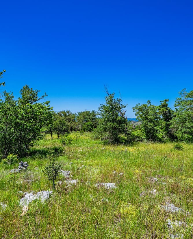 409 Osage Way - Preserve at Walnut Springs | LOT #31