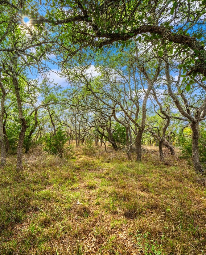 Lot 27 - Red Oak Mountain in Blanco, TX | 11.58 Acres | TBD E Twisted Oak Trl, Blanco, TX 78606