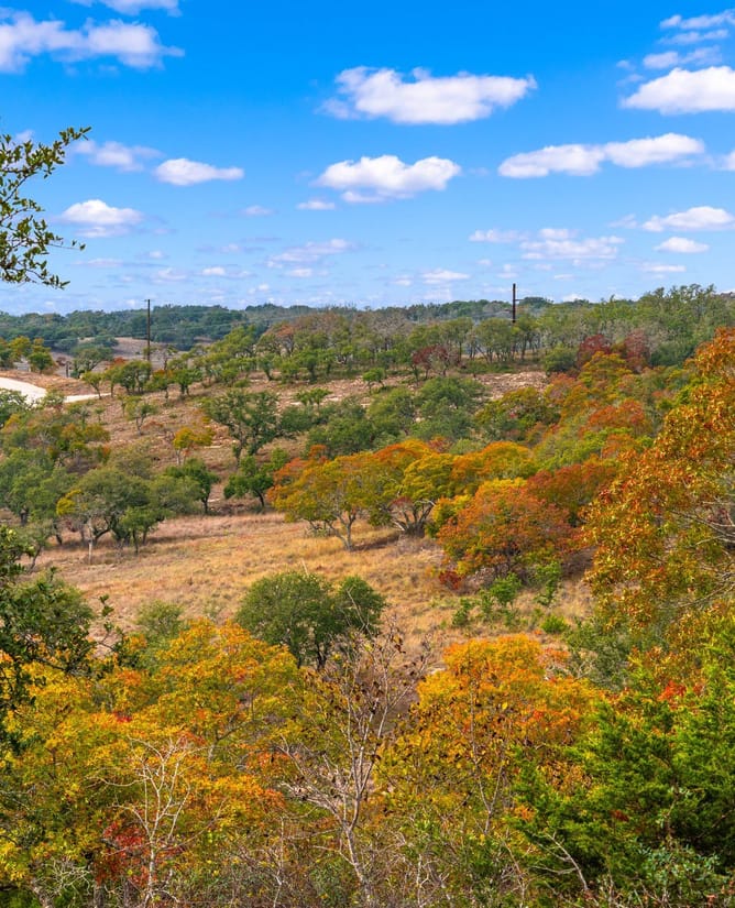 Lot 27 - Red Oak Mountain in Blanco, TX | 11.58 Acres | TBD E Twisted Oak Trl, Blanco, TX 78606