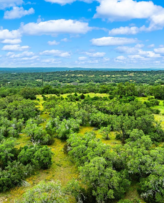 TBD CR 202 Johnson City | 305 acres | Unrestricted