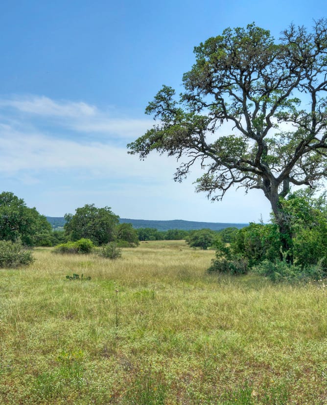 TBD CR 202 Johnson City | 305 acres | Unrestricted