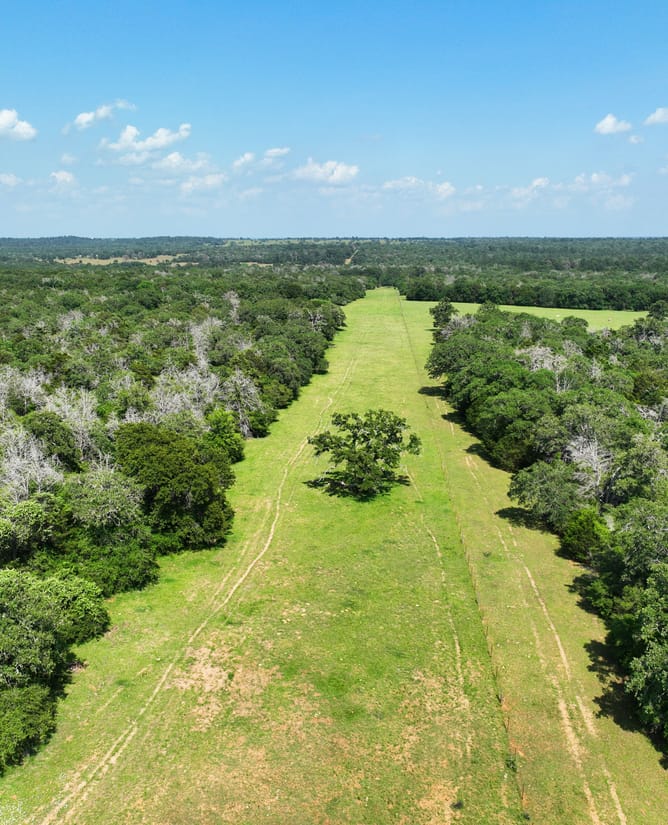 Roadrunner Ranch