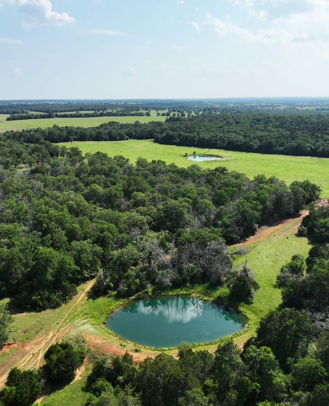 Roadrunner Ranch