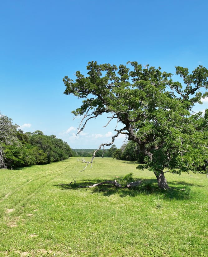 Roadrunner Ranch