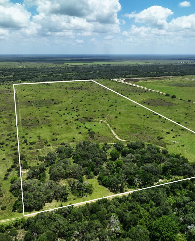 83 Acres - Hallettsville