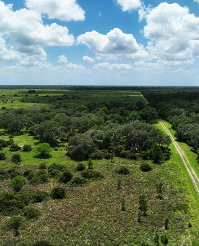 83 Acres - Hallettsville