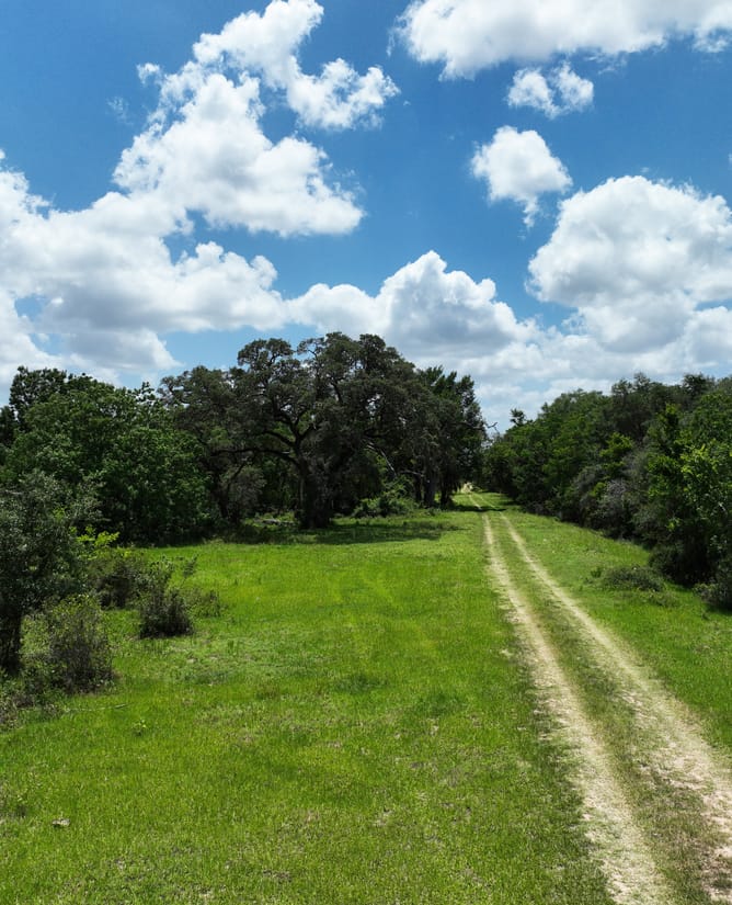 83 Acres - Hallettsville