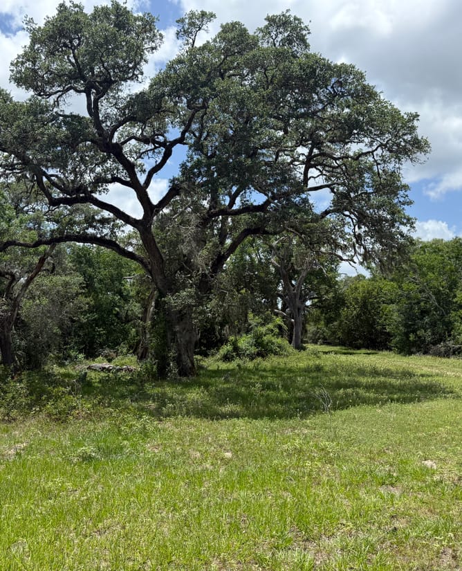 83 Acres - Hallettsville
