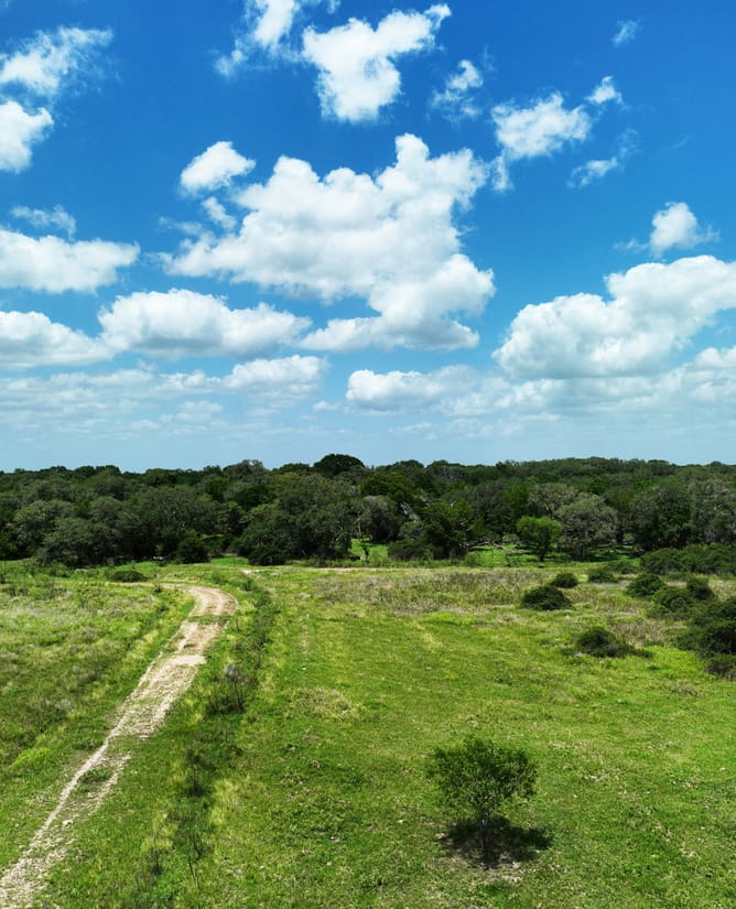 83 Acres - Hallettsville