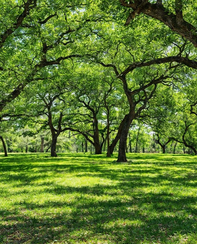 Skull Creek Ranch - 59 AC