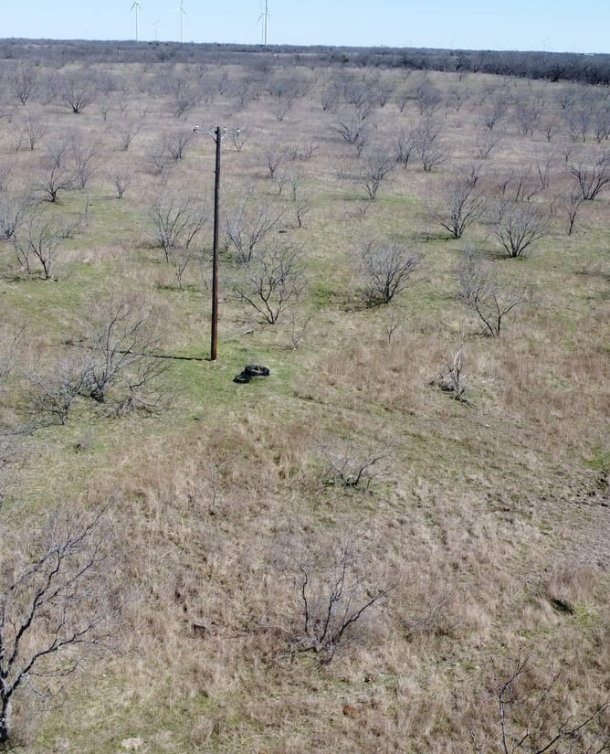 111 Acres Between Mount Calm and Hubbard, TX