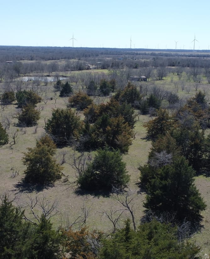 111 Acres Between Mount Calm and Hubbard, TX