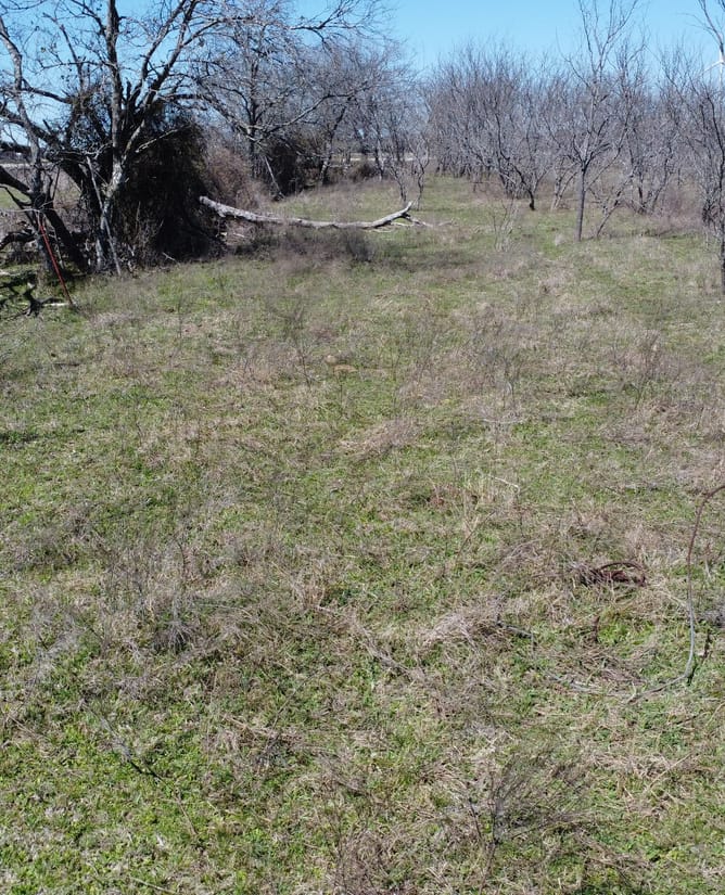 111 Acres Between Mount Calm and Hubbard, TX
