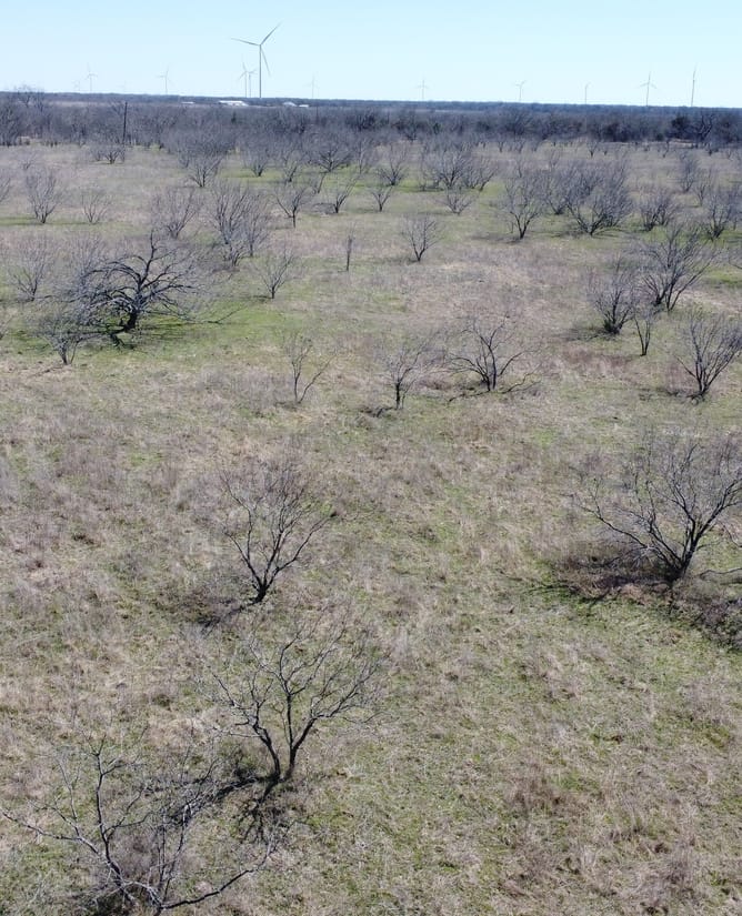 111 Acres Between Mount Calm and Hubbard, TX