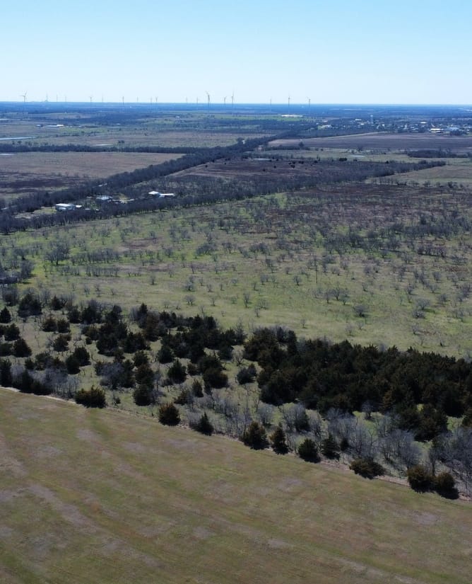 111 Acres Between Mount Calm and Hubbard, TX
