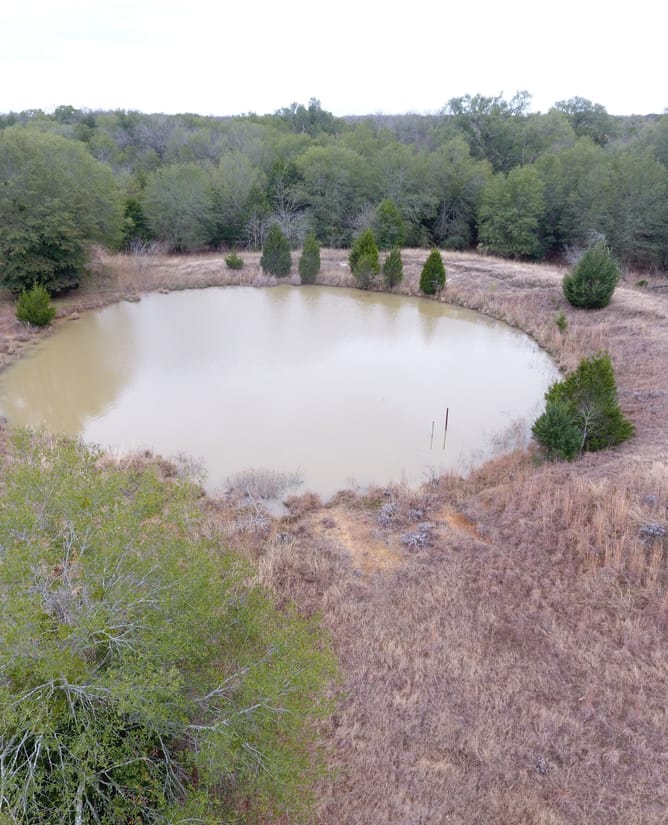 Hog Creek Retreat