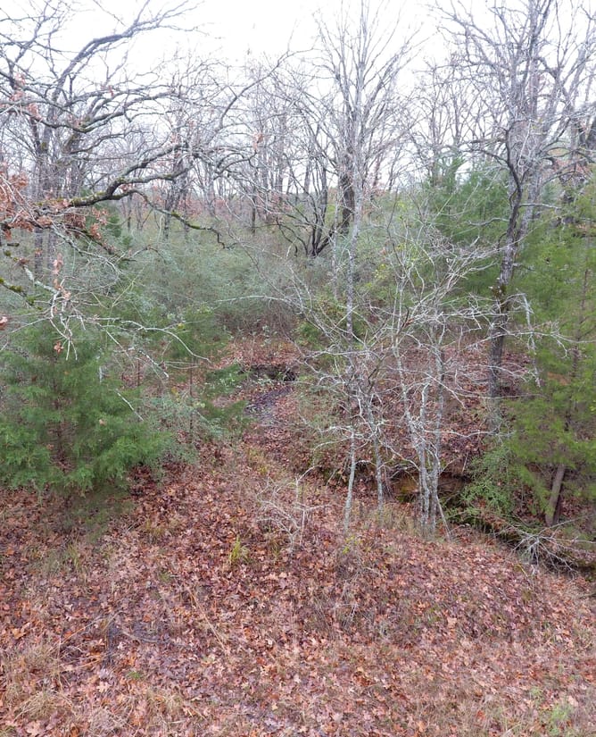 Hog Creek Retreat