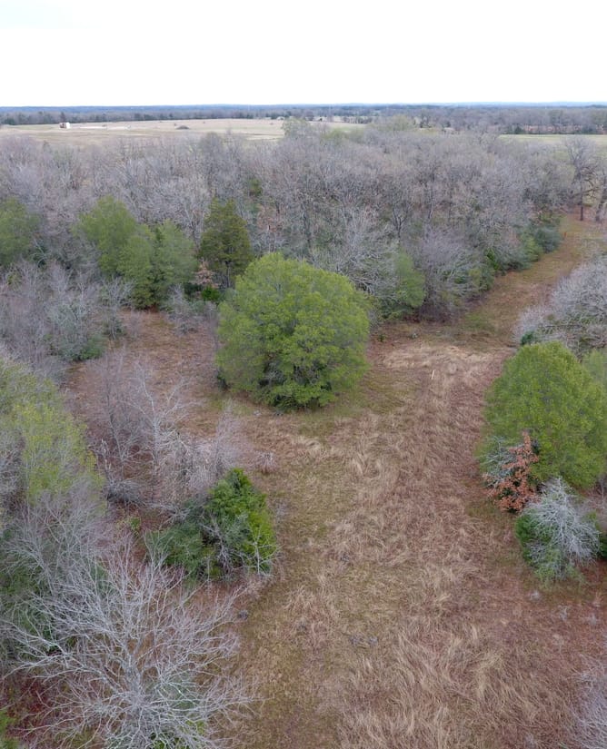 Hog Creek Retreat
