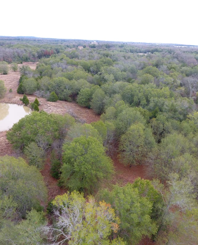 Hog Creek Retreat