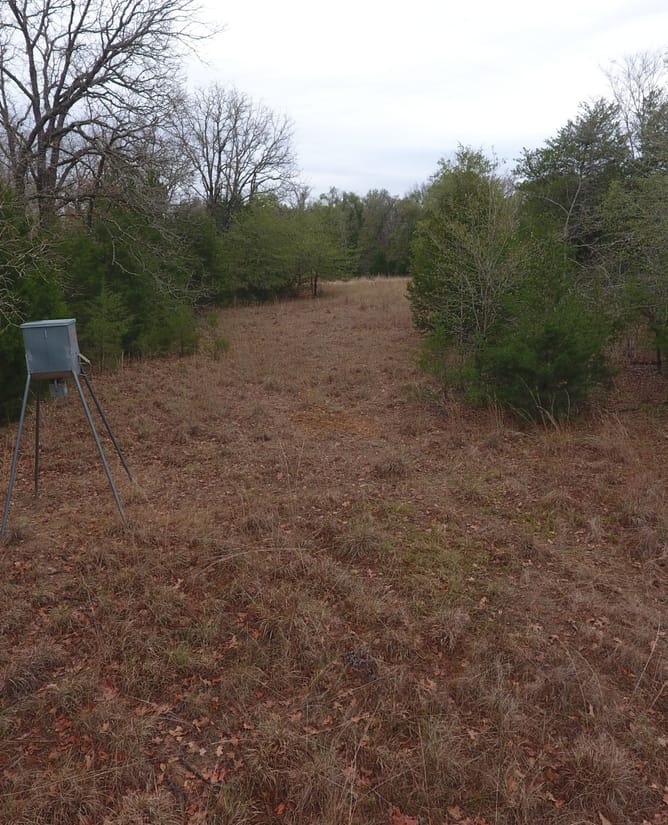 Hog Creek Retreat