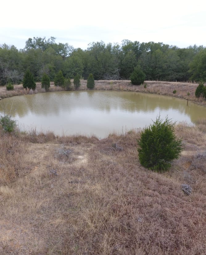 Hog Creek Retreat