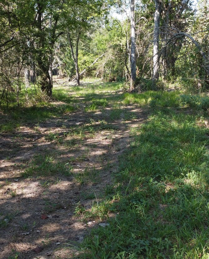 15 Acres in Groesbeck, TX