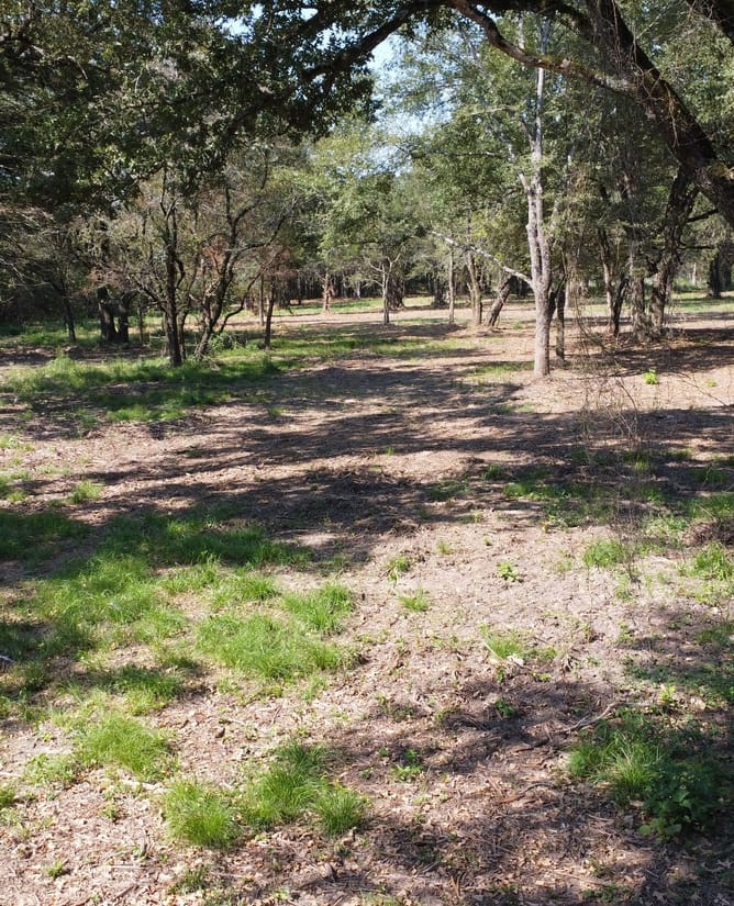 15 Acres in Groesbeck, TX