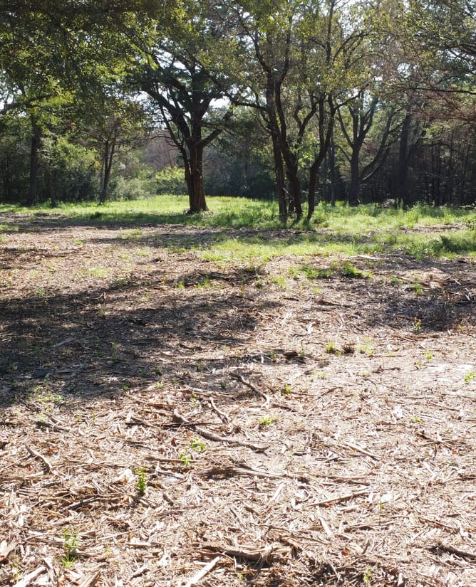 15 Acres in Groesbeck, TX