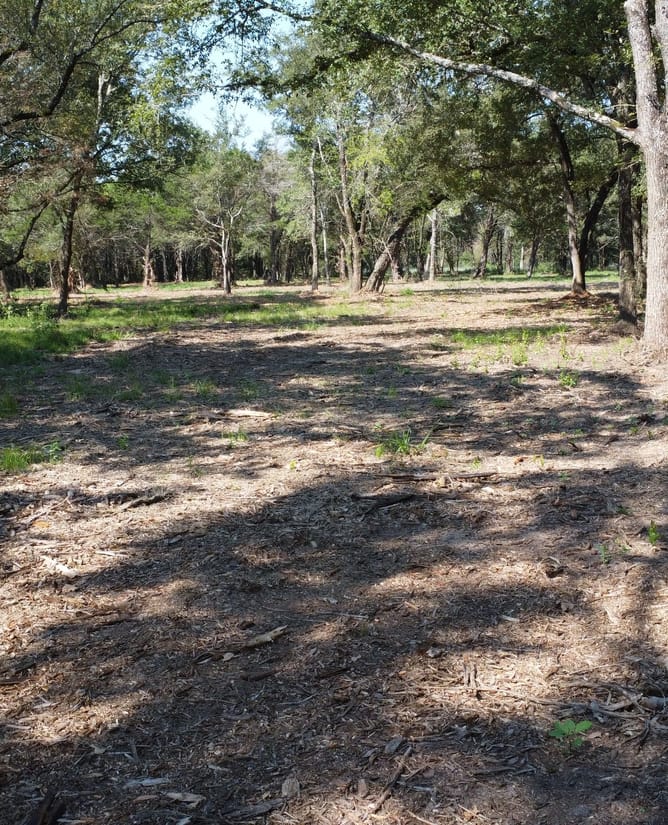 15 Acres in Groesbeck, TX