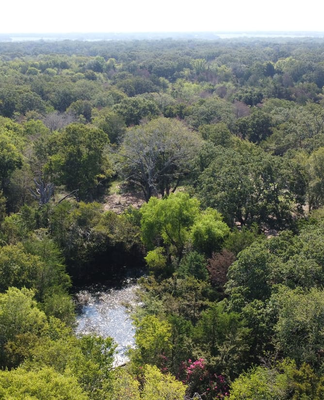 15 Acres in Groesbeck, TX