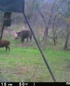 15 Acres in Groesbeck, TX