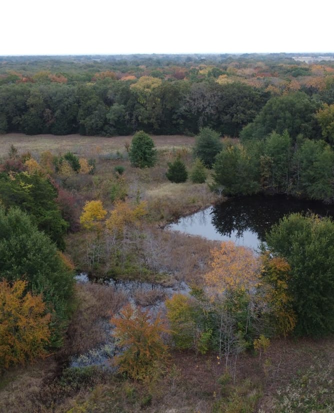 21 Acres in Terrell, TX