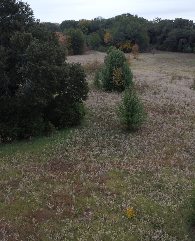 21 Acres in Terrell, TX