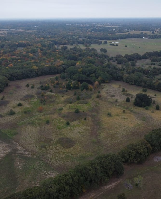 21 Acres in Terrell, TX