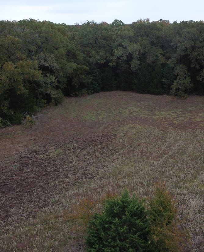 21 Acres in Terrell, TX