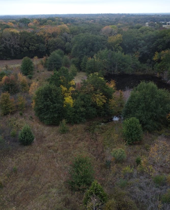 21 Acres in Terrell, TX