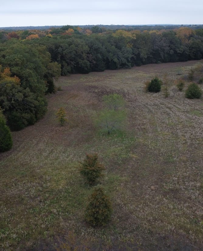21 Acres in Terrell, TX