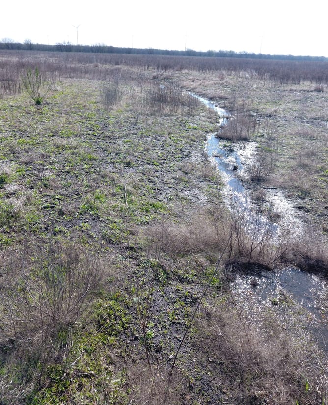 10.1 acres near Coolidge, TX