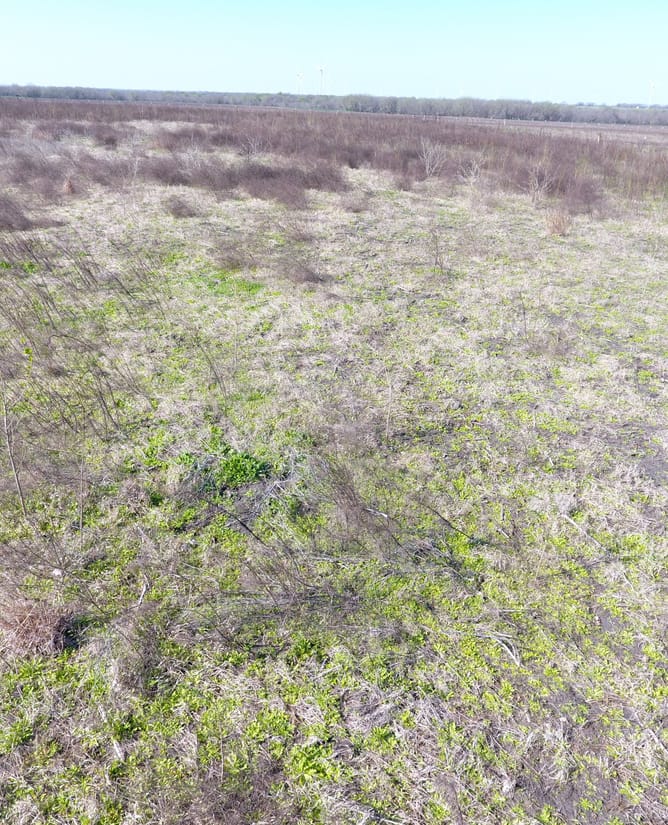 10.1 acres near Coolidge, TX