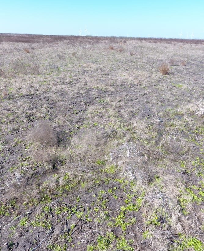 10.1 acres near Coolidge, TX